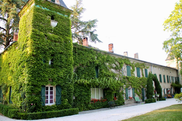 Château du vergnet